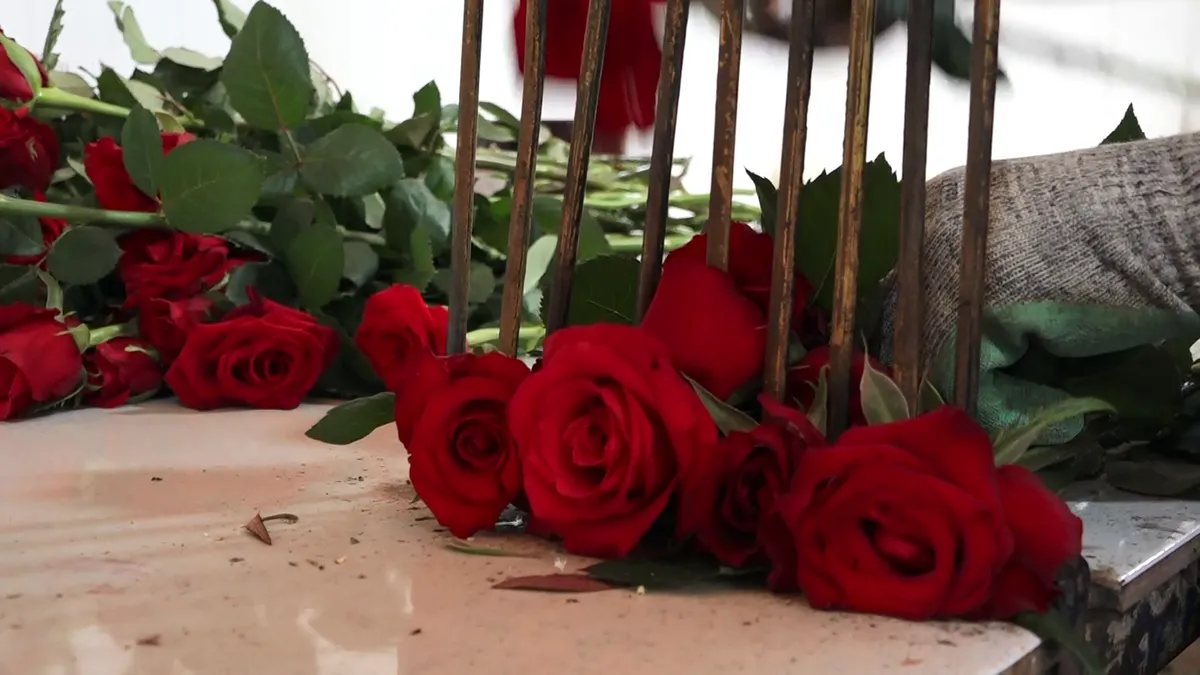 تولید گلهای زینتی در شهرستان رزن