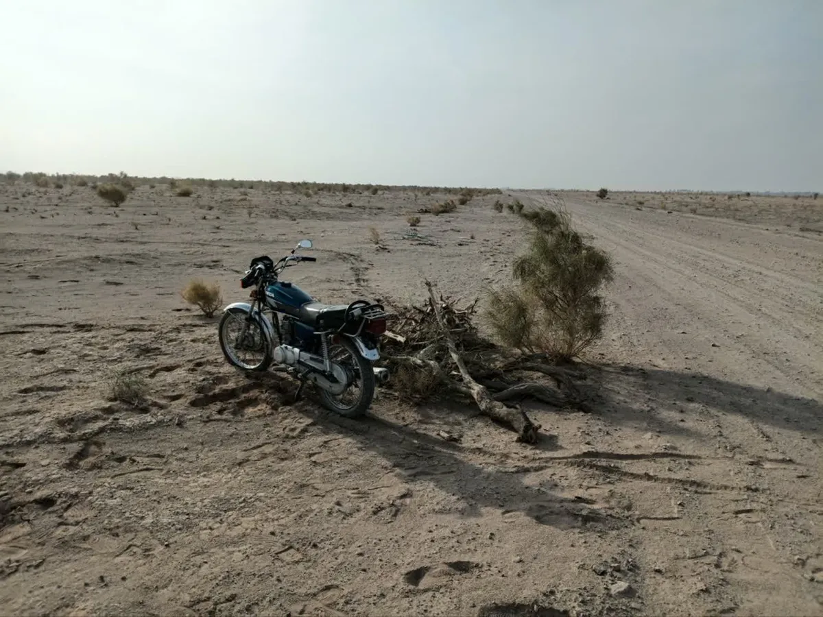 کشف ۵۵۰ کیلوگرم چوب غیرمجاز تاغ در دشت سجزی