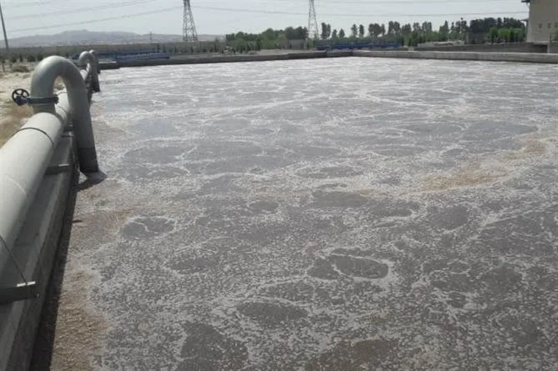 «طلای خاکستری» که در سالور هدر میرود
