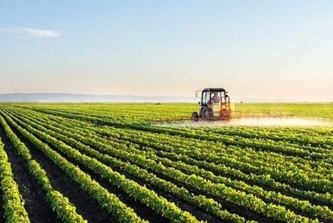 اجرای طرح جهش تولید در دیمزارهای چهارمحال و بختیاری