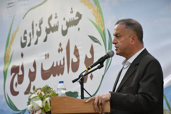 مشایخی: کشاورزی محور سند توسعه میانه است