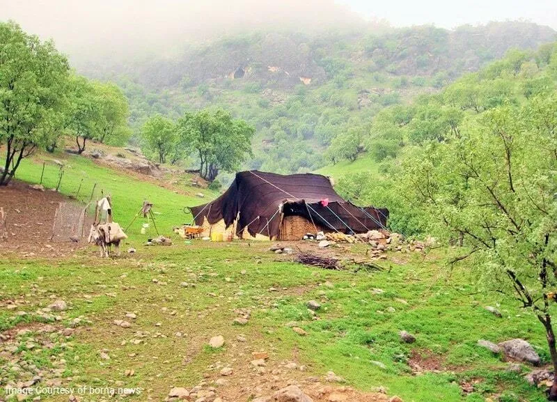 آغاز کوچ پاییزه عشایر در کرمانشاه