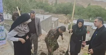 نهال‌کاری بدون مراقبت نتیجه‌ای ندارد