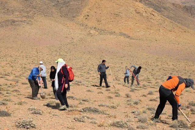 بذر پاشی در ۱۰۰ هکتار از مراتع رضا آباد مهدیشهر اجرا شد