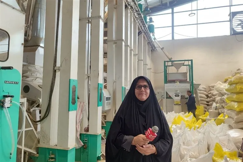 نظام مسائل استان گیلان , اخبار استان گیلان , واردات برنج , کشاورزی ,
