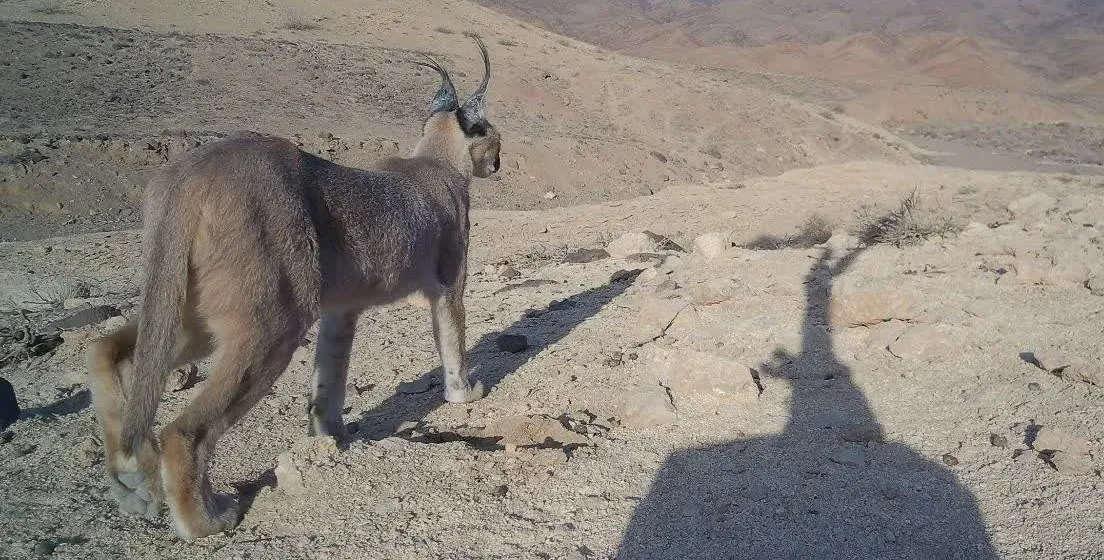 اخبار ورامین , اخبار استان تهران , محیط‌بان , 