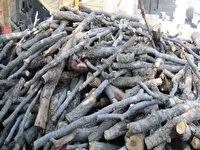 کشف و ضبط بیش از یک تن چوب تاغ در ورزنه