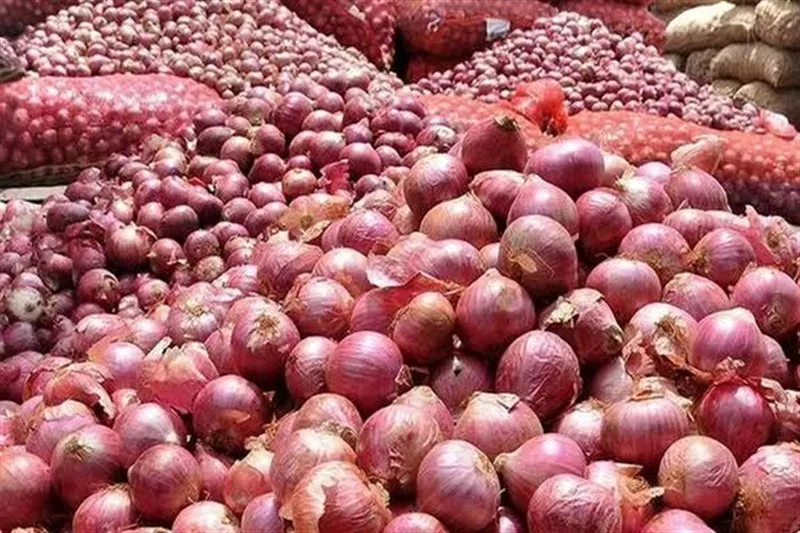 تنظیم بازار داخلی؛ دلیل محدودیت صادرات پیاز فارس