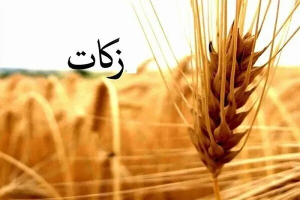 حجت الاسلام هرمز: ظرفیتهای مردمی به شکل مطلوب استفاده شود