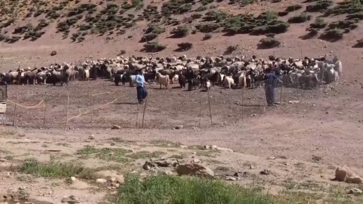 دوخبر از کاشان و فریدونشهر