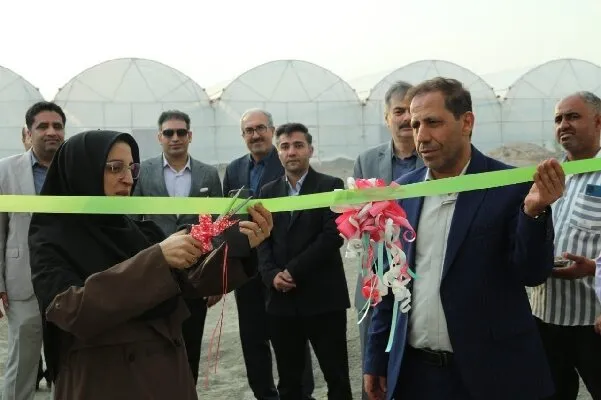 بهرهبرداری از گلخانه پژوهشی ۹ هزار مترمربعی دانشگاه آزاد رودان