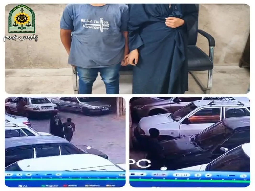 مادر جوان و پسرش با ۱۴ فقره دزدی در جهرم دستگیر شدند