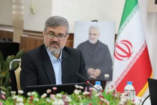 کشف ۳۳۱ قبضه سلاح جنگی و شکاری در کرمان؛ ۷۷ متهم بازداشت شدند