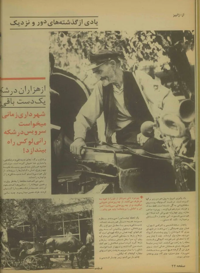 پای درد دل آخرین درشکهچیهای تهران در آبان ۵۷/ روزگاری درشکهچی کلی حرمت داشت اما حالا چی/ مردم واسه ما پوست خربزه هم پرت کردهاند