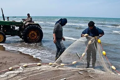 اشتغال ۴۰ هزار نفر در صنعت آبزی پروری سواحل مکران