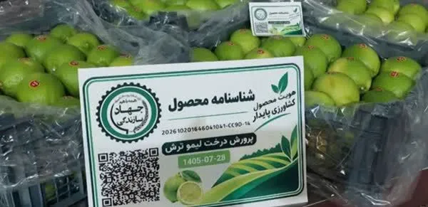 نصب کد کیوآر برای اولین بار بر محصول خرما و لیموترش فارس
