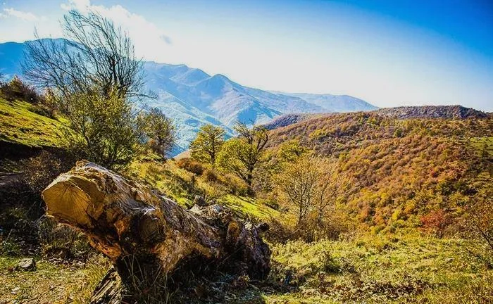 پایداری هوا در گیلان تا ۳ روز آینده؛ بارش باران از عصر دوشنبه