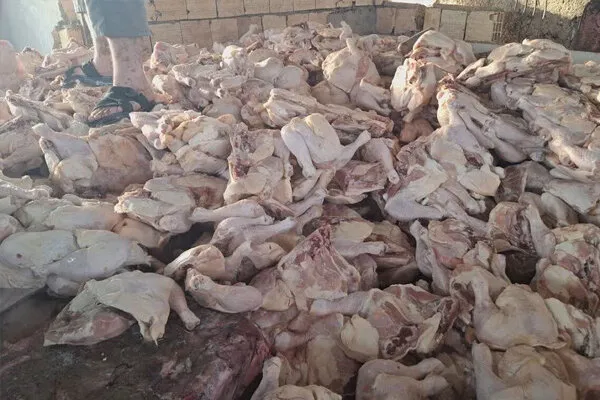 معدومسازی بیش از یکهزار و ۳۶۰ کیلوگرم مواد غذایی غیرمجاز در شهریار