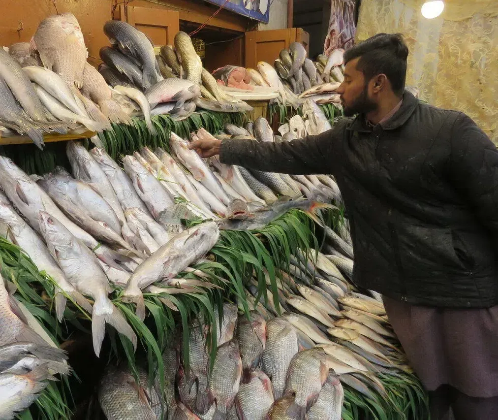 صدور ۴ هزار و ۵۰۰ گواهی بهداشتی قرنطینهای بینالمللی برای صادرات آبزیان خوزستان