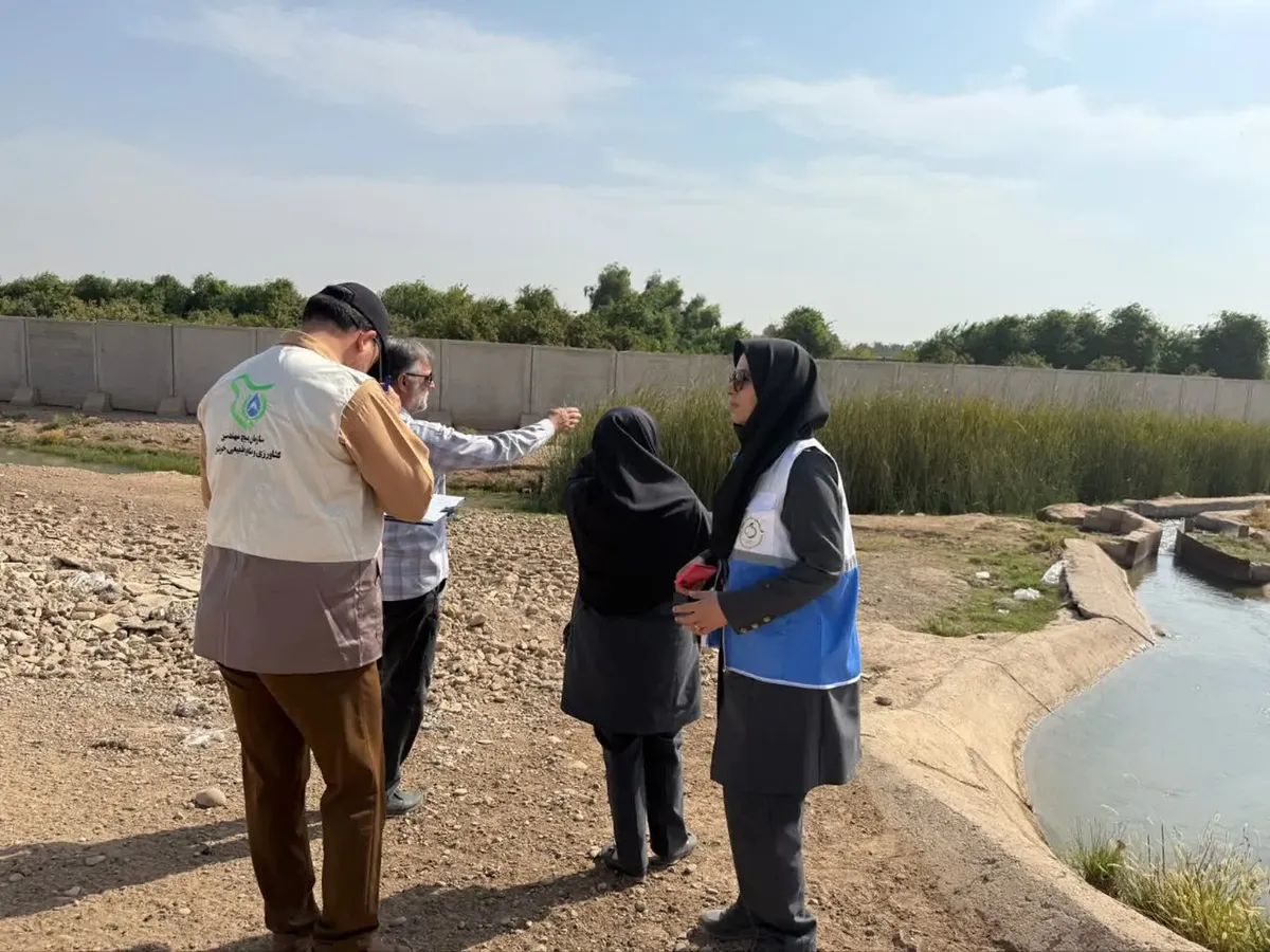 پشه آئدس تب دانگی تب دنگی