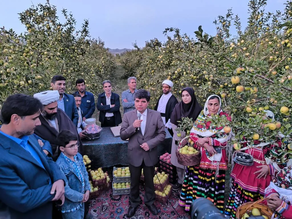 برگزاری جشنواره سیب رباط سفید در مشهد