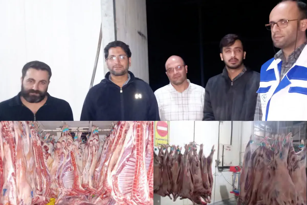 محموله گوشت فاقد مجوز در گلپایگان کشف شد