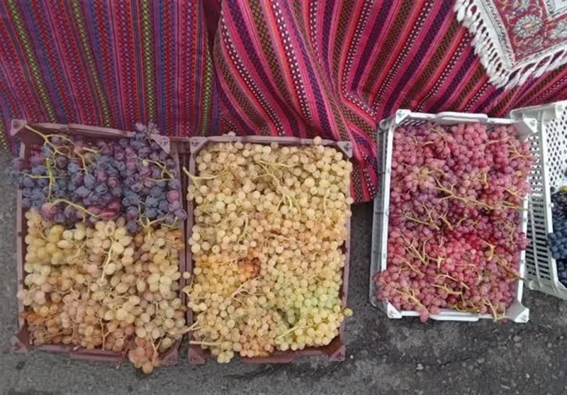 جشنواره شیره‌پزان انگور در روستای کرمبست کرمانشاه برگزار می‌شود