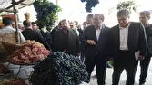 برگزاری جشنواره انگور سیاه میرآباد، نمایش ظرفیت بومی تا فرصتی برای رونق اقتصادی و گردشگری