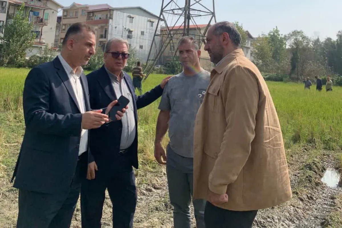 جمع‌آوری ۲۳ برج انتقال برق در آستارا برای آزادسازی اراضی مردم