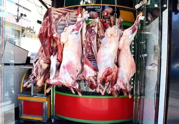 قصاب متخلف کشتار غیرمجاز دام