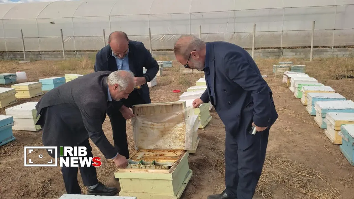 سرشماری سراسری زنبورستانهای مرند از دوم آبانماه