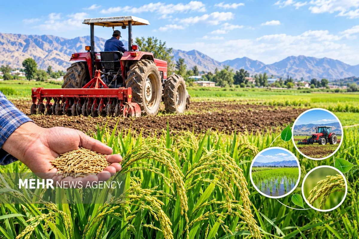 جذب ۱۷۸ درصدی تسهیلات مکانیزاسیون کشاورزی در کهگیلویه و بویراحمد