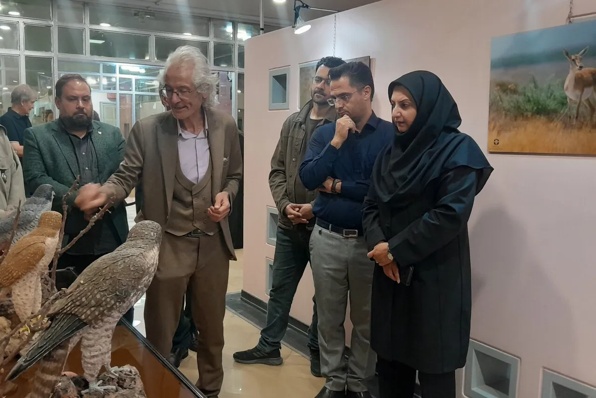 کرمانی: نمایشگاههای حیاتوحش به پیشگیری از شکار کمک میکنند