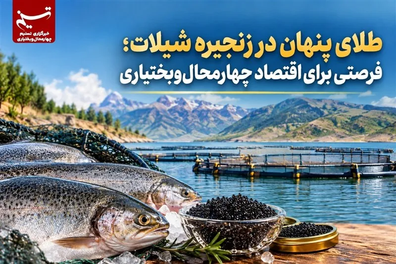 گزارش |طلای پنهان در زنجیره شیلات؛ فرصتی برای اقتصاد چهارمحال‌وبختیاری