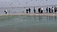 پیشبینی برداشت ۳ هزار تن انواع ماهی ازدریاچه پشت سد ارس پلدشت