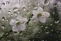 پیش بینی بارشهای رگباری در نیمه شمالی و غربی خراسان رضوی