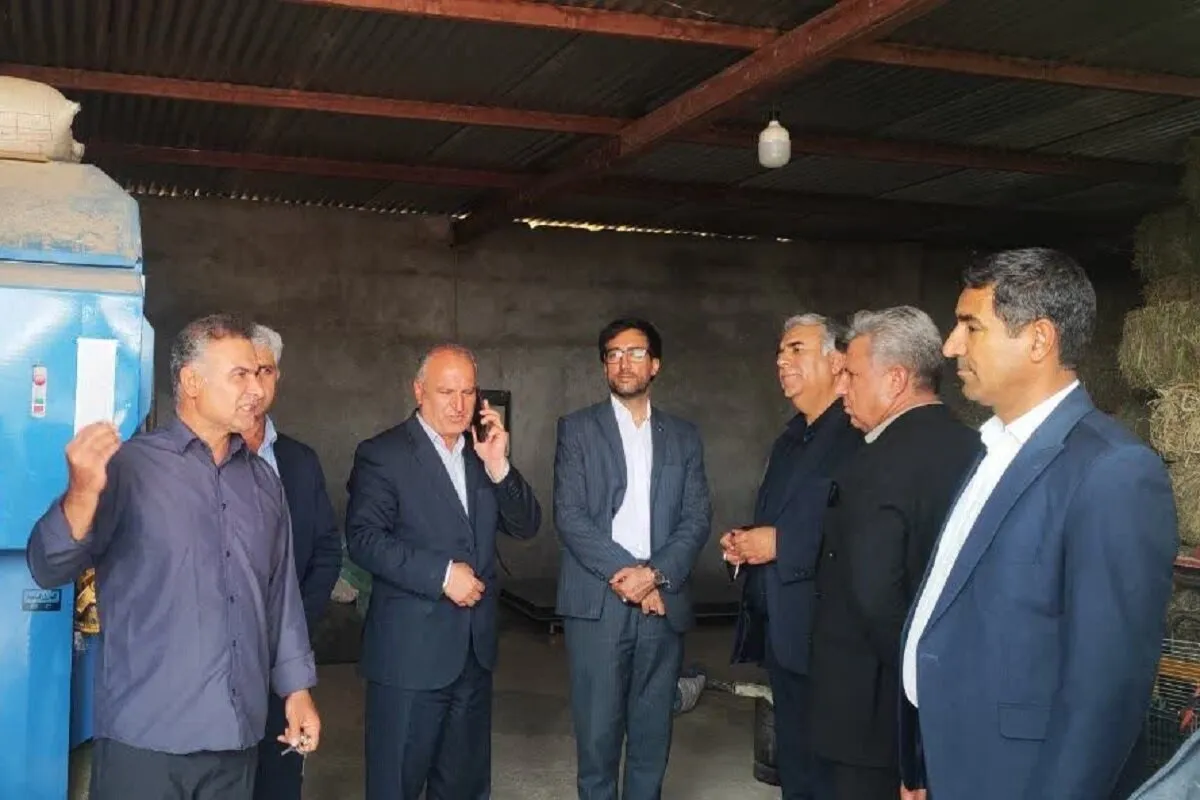 بررسی ظرفیتهای سرمایهگذاری و اشتغالزایی پرورش شترمرغ در رومشکان