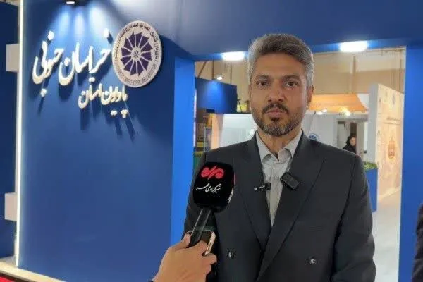 ۳۰ درصد سرمایه‌گذاری خارجی خراسان جنوبی در بخش معدن متمرکز است