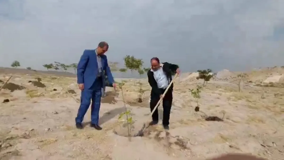 کاشت ۱۰۰ اصله نهال در ورزشگاه یادگار امام (ره) تبریز
