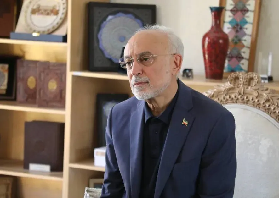 نشست دوستانه سفرای کشورهای عربی مقیم تهران با حضور علیاکبر صالحی در اقامتگاه سفیر قطر / حاضران درباره راهکارهای مدیریت شرایط کنونی و جلوگیری از گسترش تنشها گفتوگو کردند
