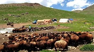 هشدار جدی به عشایر: در مسیر روان‌آب‌ها اسکان نکنید