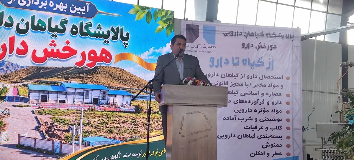 کرمان ظرفیت تبدیل شدن به قطب فرآوری گیاهان دارویی کشور را دارد