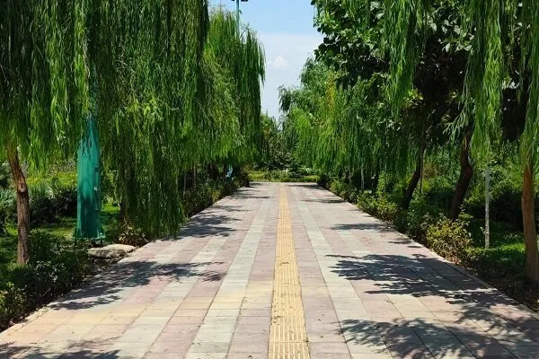 ضرورت احداث پارک ۱۰ هکتاری در کوی زیتون زنجان