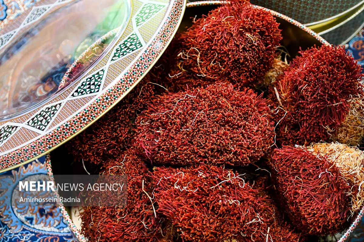 سومین جشنواره ملی زعفران آبان ۱۴۰۵ در مشهد برگزار میشود