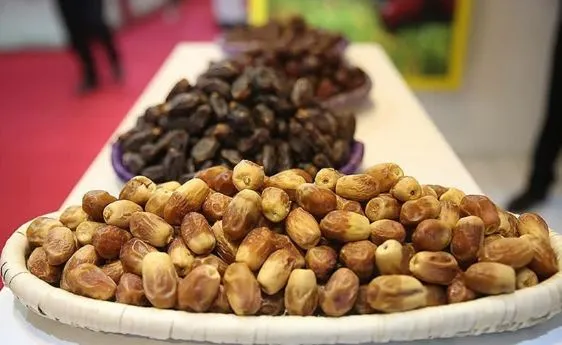 صادرات ۳۰۰ تن خرمای ربی سراوان به روسیه