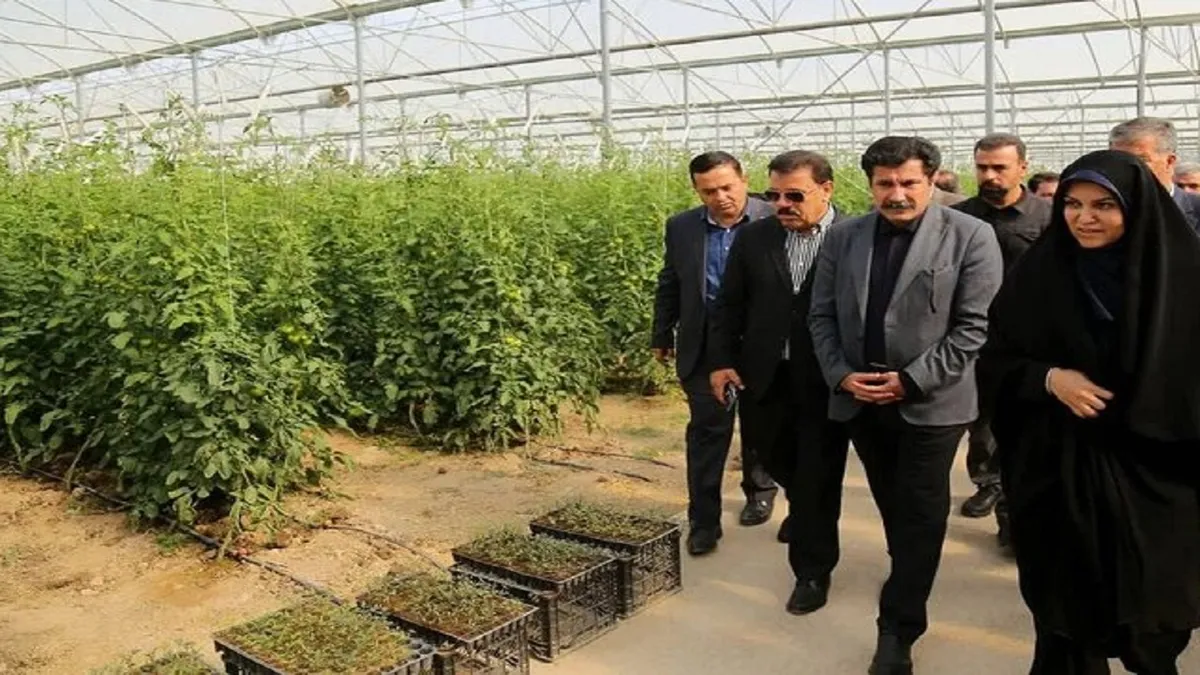 تقویت اشتغال روستایی با تامین منابع مناسب
