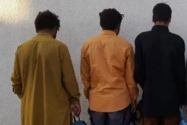 جمع آوری ۳ نفر اتباع غیر مجاز در مرند