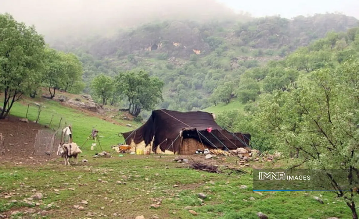 کوچ با طعم زندگی؛ عشایر کرمانشاه میان سنتهای دیرپا و رنج معیشت
