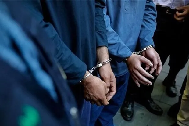 کشف ۱۹ فقره سرقت در کنگان؛ دستگیری ۱۱ سارق