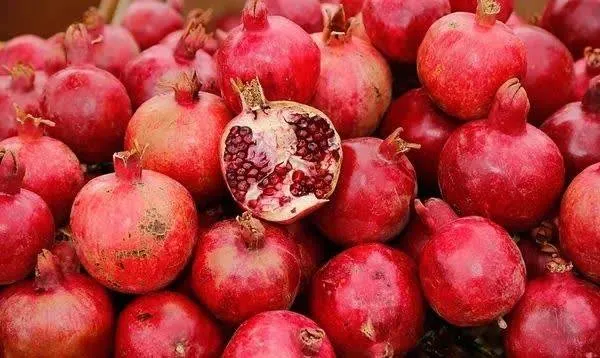 پیشبینی برداشت بیش از ۳۰ هزار تن انار در بردسکن